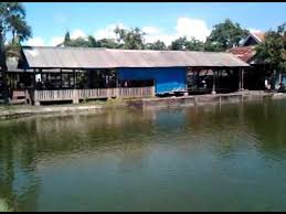 Kolam Pancing Tiga Putra 3gp Youtube