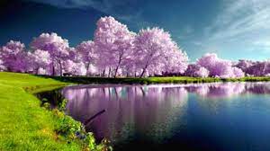Hd wallpapers and background images. 46 Beautiful Spring Nature Desktop Wallpaper On Wallpapersafari