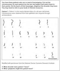 Biology Karyotype Worksheet Answers Key Answers Worksheet 6 Karyotype In 2020 Worksheets Answer Keys Answers