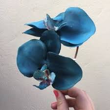 We did not find results for: Irene Badgerooney Profile Pinterest