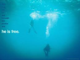 The red sea diving resort quotes. Scuba Diver Quotes Quotesgram