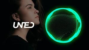 Alan Walker Style, Valk Fant