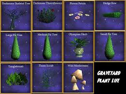 Wizard101 Using Gardens To Accent Your House S Outdoor Experience Swordroll S Blog Wizard101 Pirate101