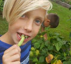 Conceptual Schoolyard Redevelopment Plan