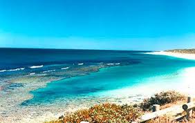 Yanchep Western Australia It S One Of My Favourite Places In The World I Ve Been Luc Best Holiday Destinations Australia Landscape Beautiful Places On Earth