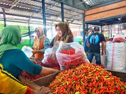 Jelang Musim Hujan