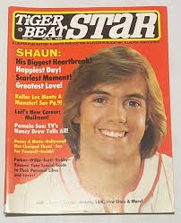TIGER BEAT NOVEMBER 1977 THE HARDY BOYS * SHAUN CASSIDY * STAR WARS * SCOTT  BAIO
