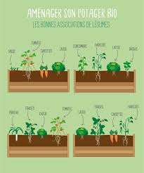 Amenager Son Potager Bio Sur Son Balcon Pousse Pousse Potager Bio Potager Jardin Potager