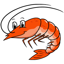 How To Draw A Shrimp Really Easy Drawing Tutorial
