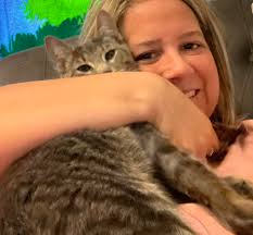 Has anyone seen a missing cat in Rotterdam coldbrook area?