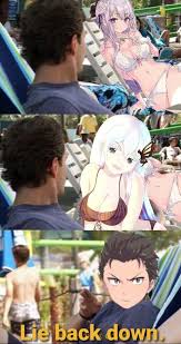 Echidna Better In 2020 Anime Funny Anime Memes Anime