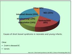 Peds Short Bowel Syndrome Intestinal Failure Flashcards Quizlet