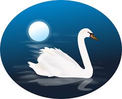 Baby Swan Clipart Black And White Swan Clip Art Swan 4 Clip Art Kids Poems Swan Animal Public Domain Clip Art
