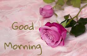 God puts us where we grow best. Good Morning With Lovely Flower Quotes Good Morning Fun