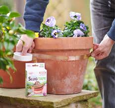 Home hardware's got you covered. Plant Care Garden Lawn Care Treatment Wilko Com