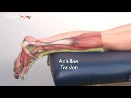 See more ideas about achilles, achilles tendonitis, achilles tendon support. Pin On Health