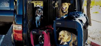 Transport your dog cross country! Group En Route Pet Transportation Ground Cross Country