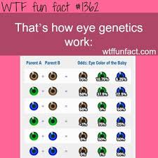 this is a fun chart for science what was your percentage