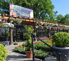 Treeland nursery has been in operation since 1983 and specializes in the following landscaping services: Lakewood Ruibals
