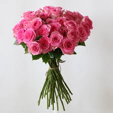 Here you can find the best pink rose wallpapers uploaded by our community. Pink Rose Rose Cut Flowers Plaza Hollandi