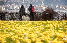 Don't miss your favorite concert again. Riapre Il Parco Del Grumello Fiori Alberi Secolari E Scorci Incantevoli