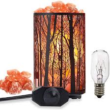Amazon Com Salt Lamps Natural Himalayan Salt Lamp Forest Salt Lamp Salt Night Lights Salt Crystal Light With Retro Metal Basket Lamp And Extra 25w Lamp Bulbs Home Improvement