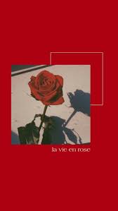 See more ideas about red aesthetic, red wallpaper, aesthetic colors. Red Aesthetic Wallpaper Red Roses Wallpaper Red Aesthetic Grunge Red Aesthetic