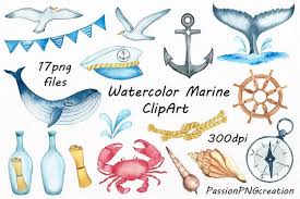 Watercolor Marine Clipart Nautical Watercolor Clip Art Png Anchor Sea Shell Digital Nautical For Personal And Commercial Use Nautical Watercolor Clip Art Nautical Clipart