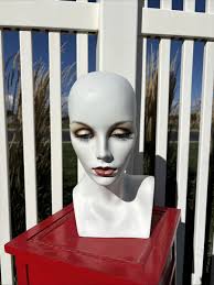 Las mejores ofertas en Cabeza de Maniquí Femenino en maniquíes de  maquillaje y cabello