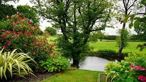 Jenis flora inggris meliputi pohon ek (oak) dan elm. Berkembang Berbunga Negara Siang Hari Inggris Lingkungan Hidup Bidang Flora Bunga Bunga Taman Rumput Pikist