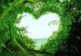 صور جميله طبيعه