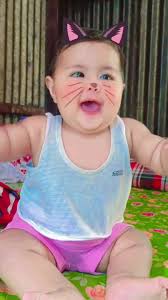 #foryou #♥️♥️♥️♥️♥️♥️♥️♥️♥️♥️♥️♥️ #@TikTok Bangladesh #@For You #@Tik tok  For You #meow meow meow meow Billi document