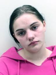 Arrests made in Sylvester thefts, juvenile charged in separate incident