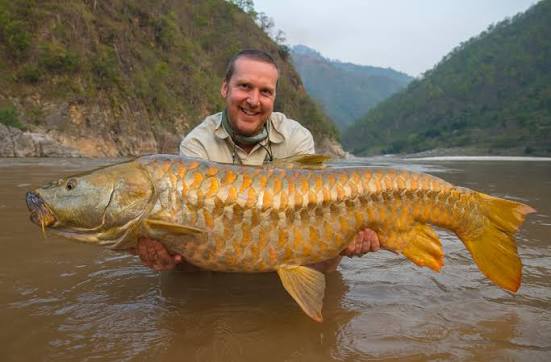 Fishing Trip of a Lifetime - Himalayan Golden Mahseer | daiwasports.co.uk