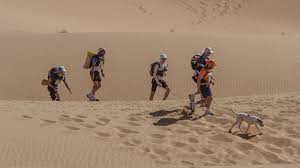 On the size of the map. A Dog Named Cactus Is Dominating A Race Through The Desert The New York Times
