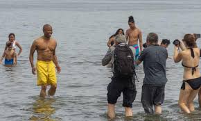 Eight major democrats are making their final bids to new york city voters in a campaign that. Ygdugkj0r7d63m