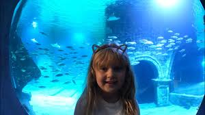 Izmir Westpark Funtastic Aquarium Su Alti Gezimiz Youtube