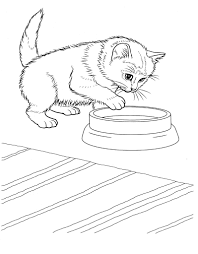Sekiranya kamu semua mahu mendapatkan gambar kucing untuk mewarna ini apa yang awak semua boleh buat adalah ikuti picture kartun mewarna cabutan buku seni permainan untuk kanak kanak ini dipetik dari artikel berikut : Halaman Pewarna Kucing Percuma Dicetak Untuk Kanak Kanak Haiwan Jun 2021
