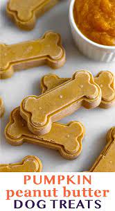 Pumpkin Peanut Butter Dog Treats Recipe Peanut Butter Dog Treats Frozen Dog Treats Homemade Dog Treats Homemade Pumpkin