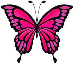 Pink Butterfly Png Clip Art Image Gallery Yopriceville High Quality Images And Transparent Png Free Clipart Butterfly Clip Art Clip Art Free Clip Art