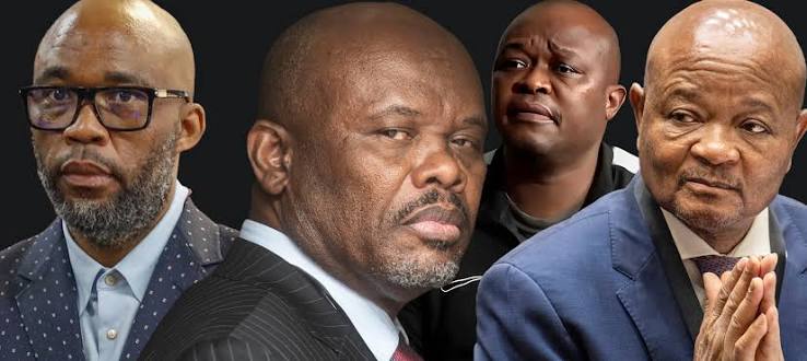 Witness C details 'Cat' Matlala's claims to have bribed minister, top cops
