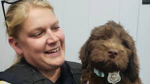 Tributes paid to Chetek officer slain during Barron County traffic stop