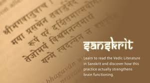 Image result for sangarsh for student