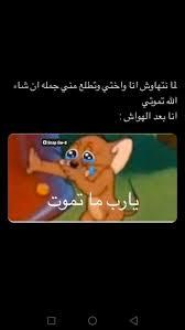 م خت ل فـــة Funny Photo Memes Funny Picture Jokes Fun Quotes Funny