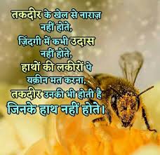 Honey bee malayalam movie features asif ali and bhavana. Pin By Puja Choudhury On à¤¸à¤š à¤š à¤…à¤š à¤› à¤…à¤¨à¤® à¤² à¤¬ à¤¤ Motivational Quotes Quotes Motivation