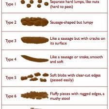 'anak muntah 9 kali sehari, muka dan badan. Cara Rawatan Kucing Cirit Birit