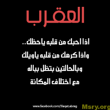 اسرار وصفات وخصائص برج العقرب اليوم موقع مصري Love Husband Quotes Husband Quotes Words
