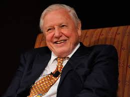 David Attenborough-themed club night goes down a storm with students