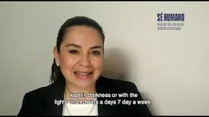 Grußwort von Berta Valle