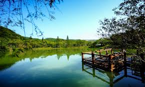 吳總經理親自迎接所有的賓客， 他告訴我，這裡好吃的屏東香蕉，隨便大家吃， 下午才認識的在地食材， 晚上就在餐桌上吃到它，真是美妙的經驗。 牡丹灣villa(查優惠房價). 2015å°ç£é¢¨æ ¼æ—…åº—100 éš±å±…æ¡ƒèŠ±æº ç‰¡ä¸¹ç£villa